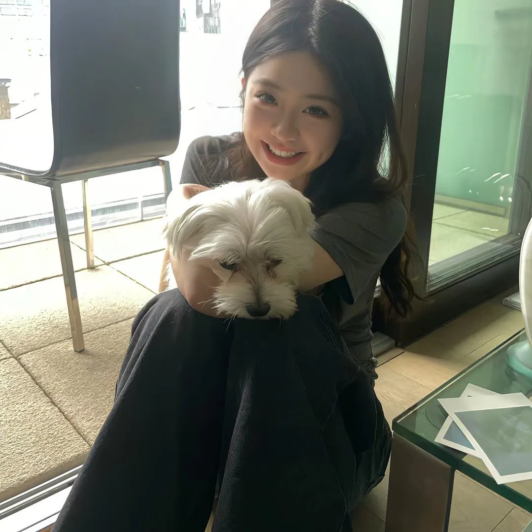 不是强龙不过江